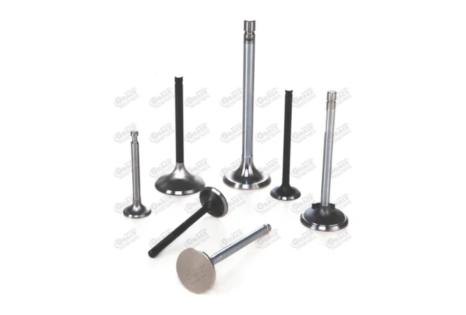 Engine Inlet And Exhaust Valves