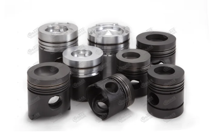 Lfin Pistons With Ring Carriers