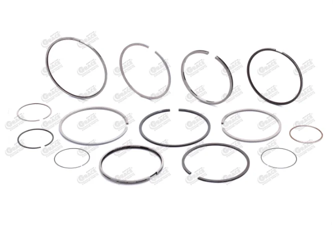 LEADING MANUFACTURER OF PISTON RINGS IN INDIA